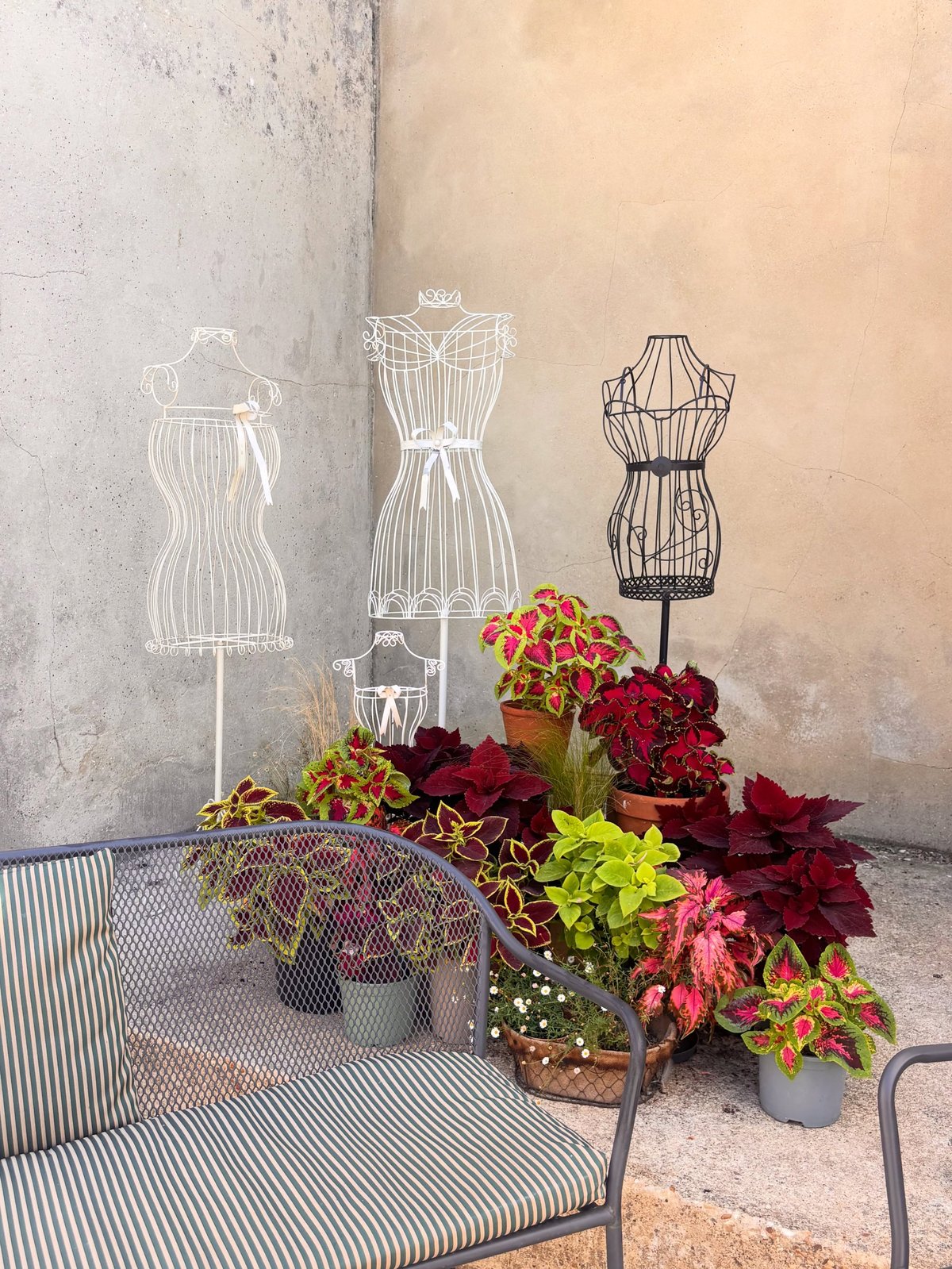 Wireframe dress forms and vibrant potted plants in the Wadhams creative space